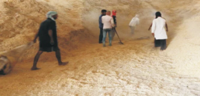 भूसा /पौष्टिक आहार