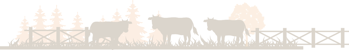 DayaBhawnaFoundation-img