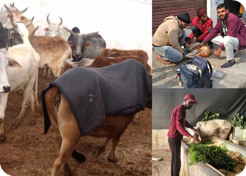 DayaBhawnaFoundation-Hospital