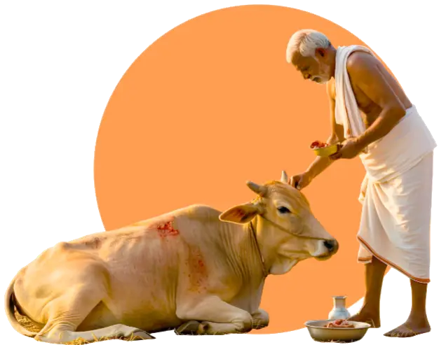 DayaBhawnaFoundation-Medicine-Donation