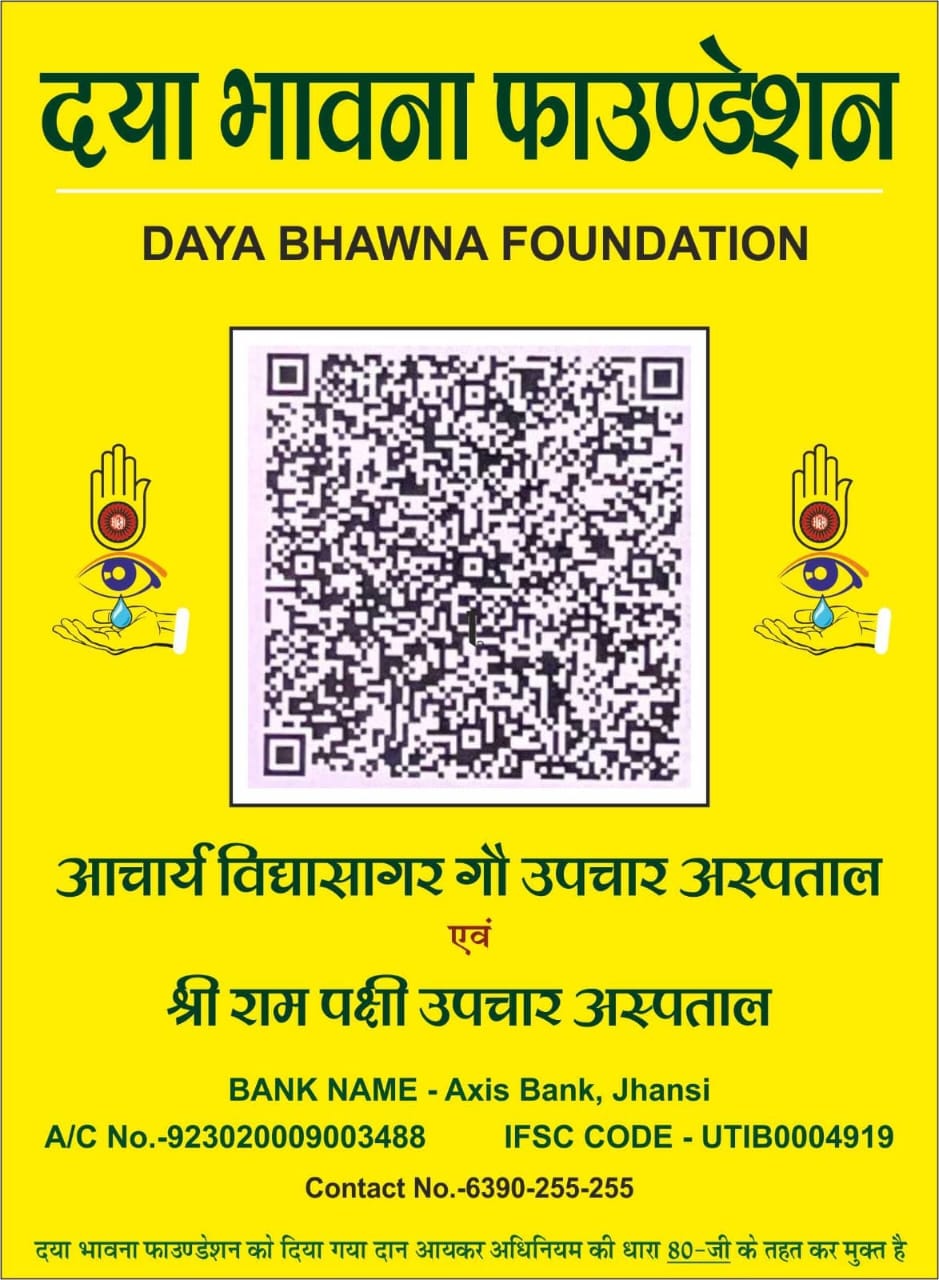 DayaBhawnaFoundation-QR